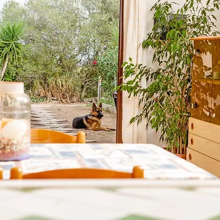 Διαμέρισμα Relax Tra Terra E Mare Palau